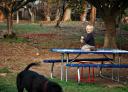  On top of the picnic table is just the spot!