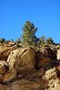  Near Bristlecone Pine where we stopped almost eight years ago for a picnic.