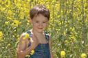   Seth in a valley of mustard flowers.