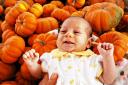  pumpkin baby!