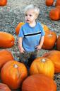  I just missed a photo of Ian reaching around that pumpkin. I think he was trying to pick it up!