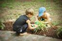  Thank you for the green tractors, Memama! They’re still a favorite around here!