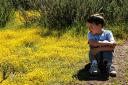  he took in the beauty and a breather and was ready to get up and finish the hike.