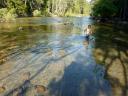  the water was shallow and slow enough for wading and safe for the children.