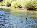  part of our group floating down the King’s River